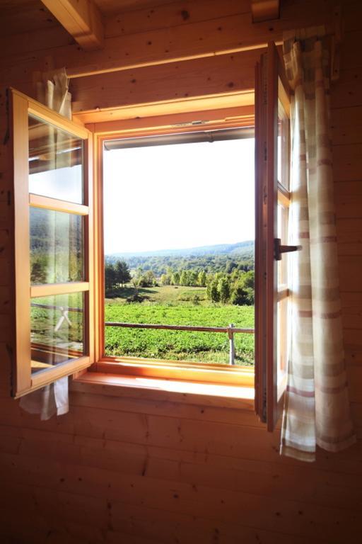 Holiday Homes Eko Klanac Rakovica Bilik gambar