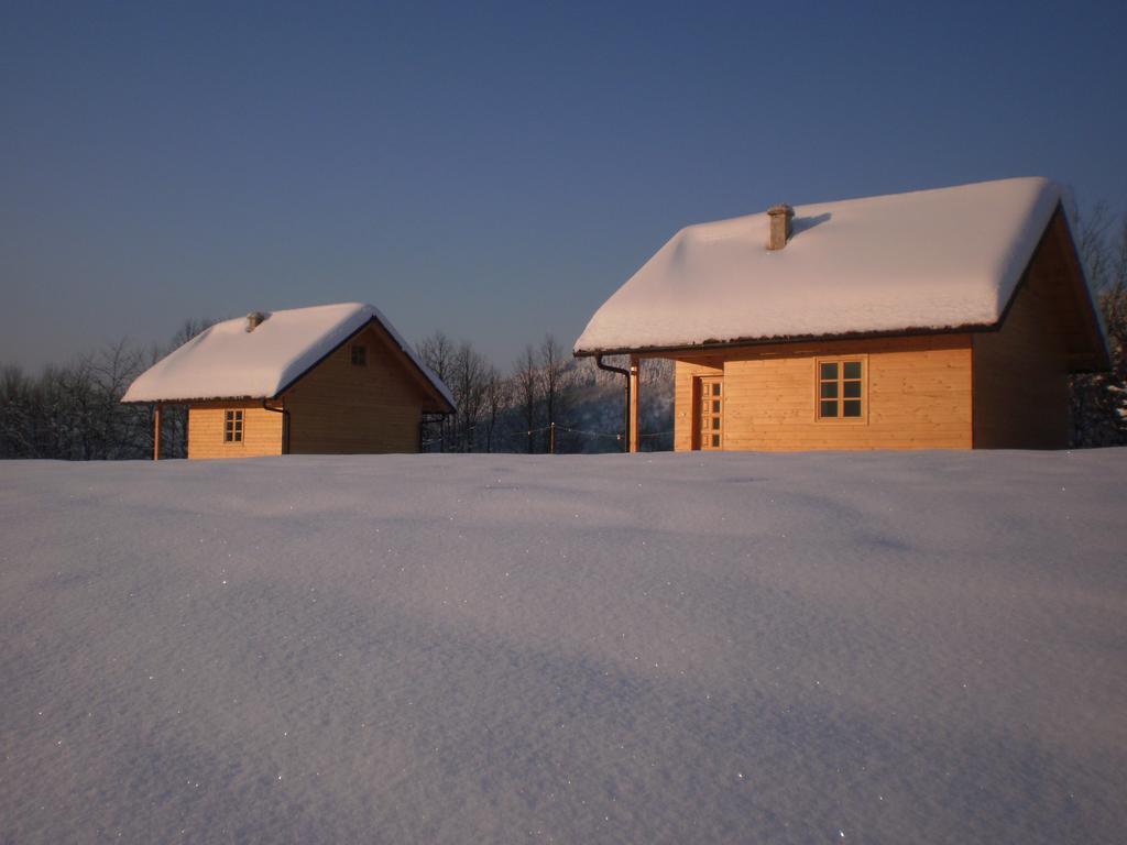 Holiday Homes Eko Klanac Rakovica Bilik gambar